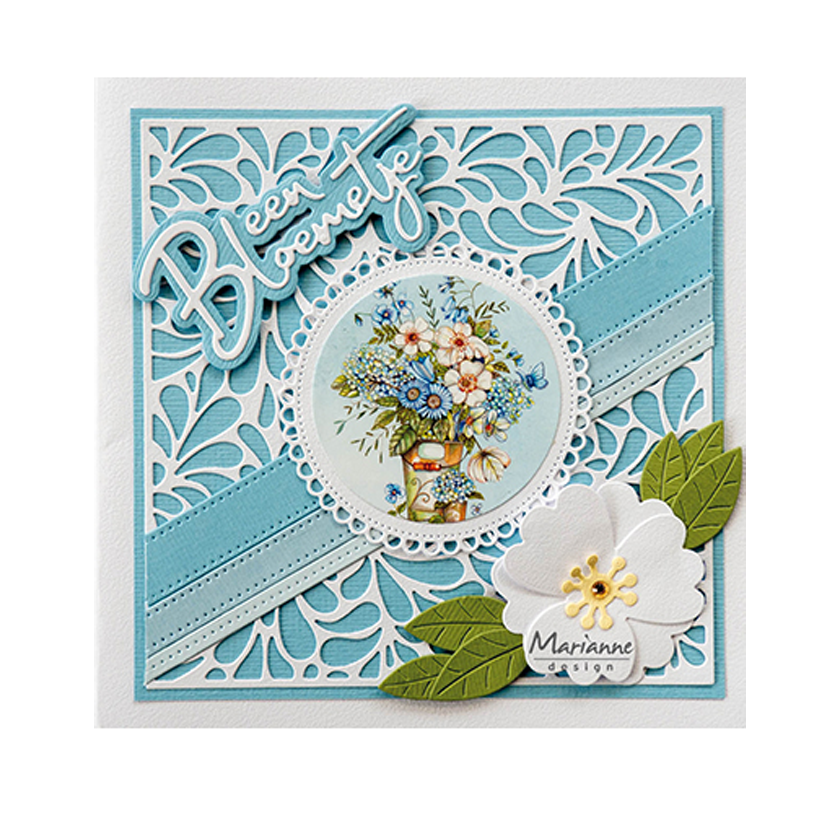 CR1621 Background succulents