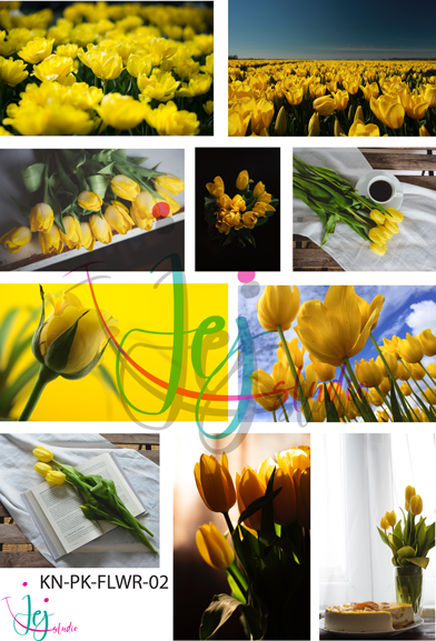 Yellow Tulips in Spring