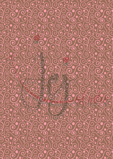 Délicieux macarons français Pakket