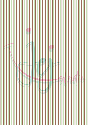 Délicieux macarons français Pakket