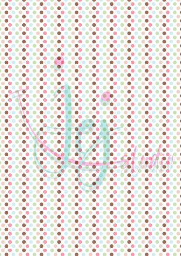 Délicieux macarons français Pakket