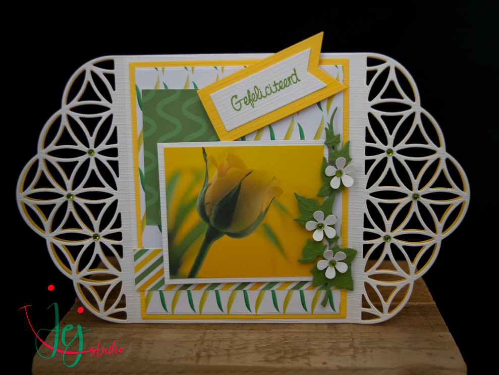 Yellow Tulips in Spring