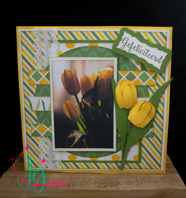 Yellow Tulips in Spring