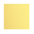 2928-004, florence cardstock, textuurs asparagus, jej hobby