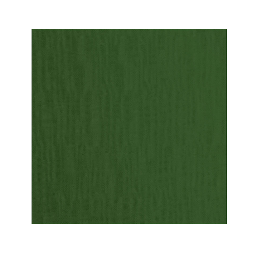 2928-078, cardstock textuur 30,5, florence, Pine, jej hobby