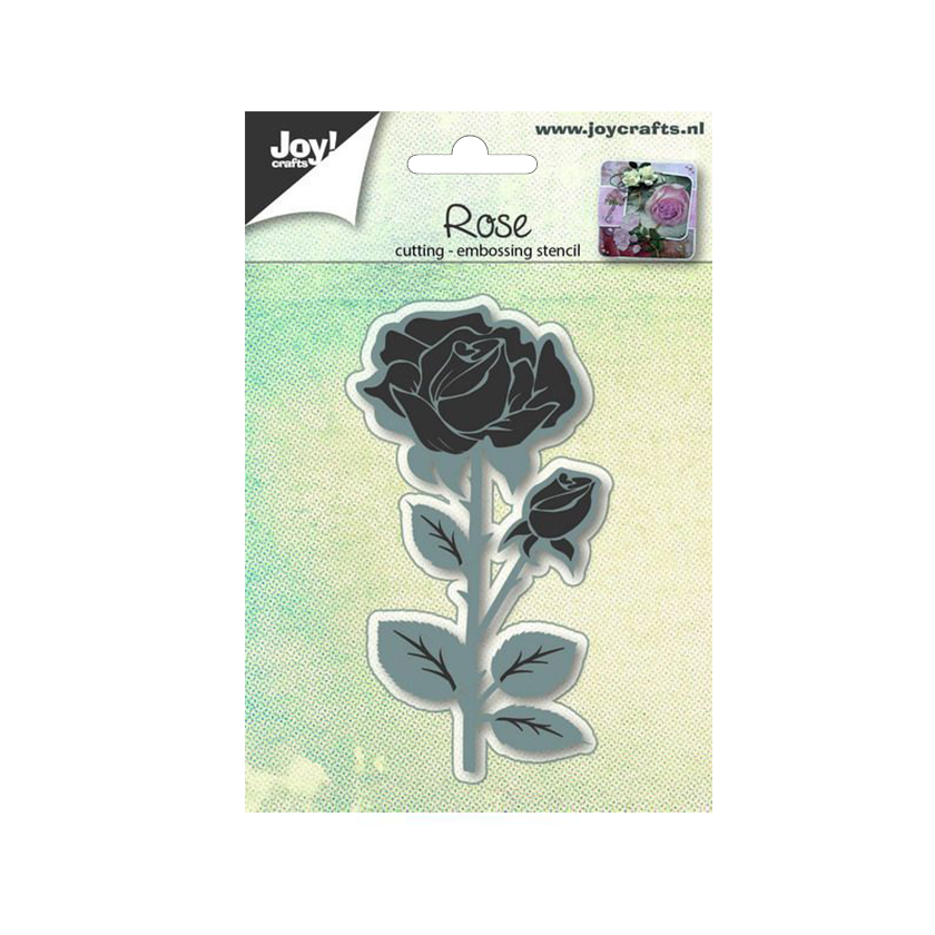 6002/0648 Rose