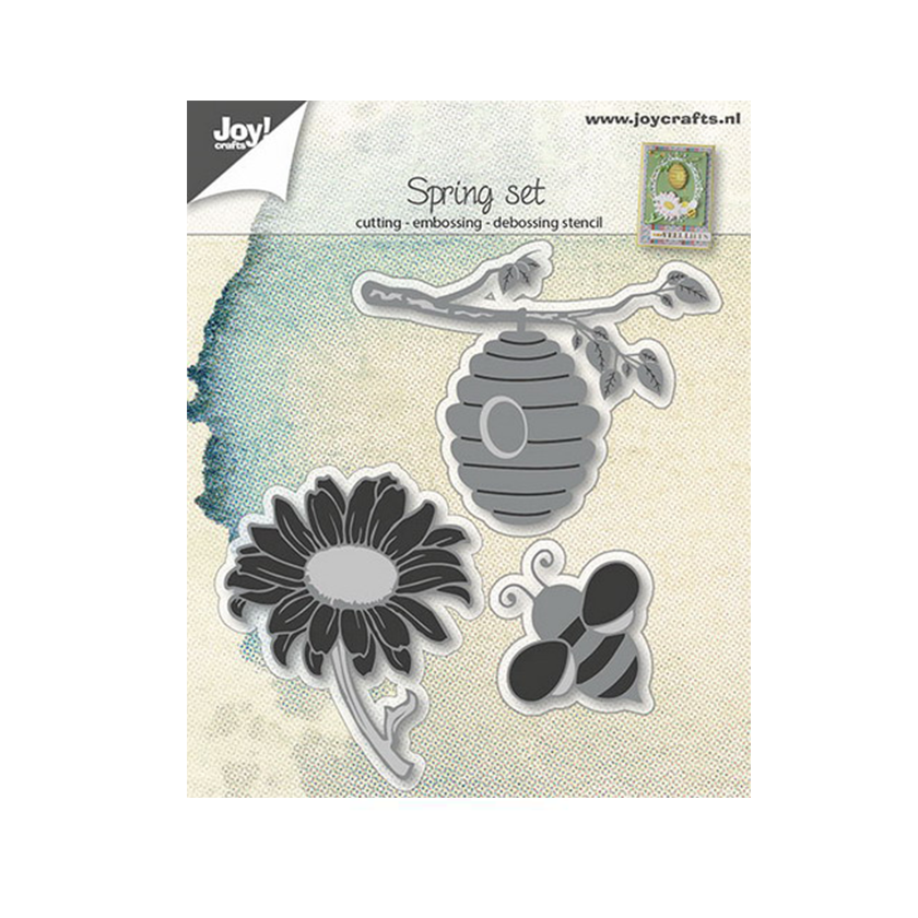 6002/0669  Spring set