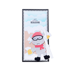CD878 Accessoires skiing