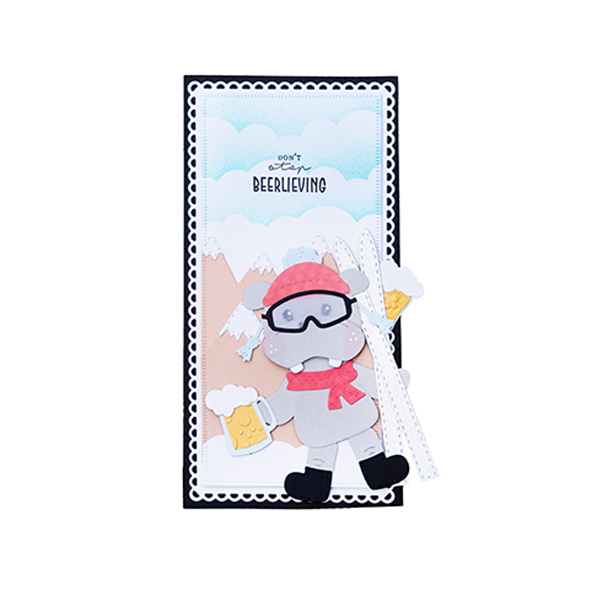 CD879 Accessoires skiing