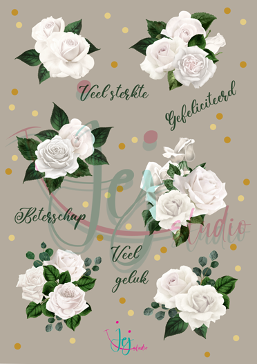 White Rose Bouguet Pakket