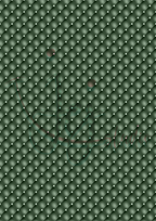 White Rose Bouguet Pakket