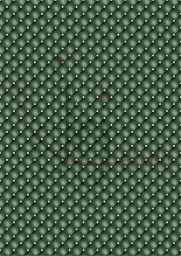 White Rose Bouguet Pakket