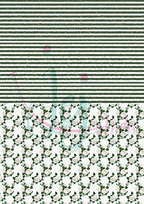 White Rose Bouguet Pakket