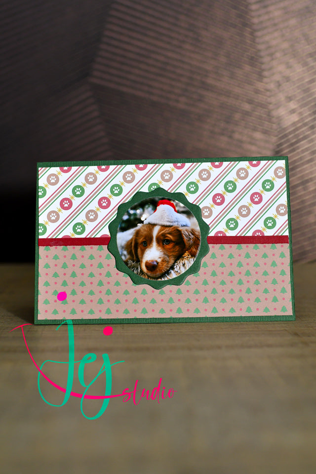 Christmas Dogs Deluxe Kerstpakket