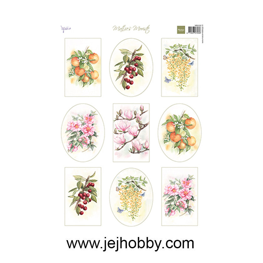 MB0222, Mattie's Mooiste Fruit & Flowers, Marianne design, jej hobby