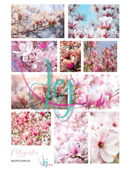 Magnolia-knipvelpakket-jej-studio-jej hobby