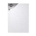 PFSS912 Vellum SIlver white van paper favourites. Dit is een semi transparant papier voor hobby