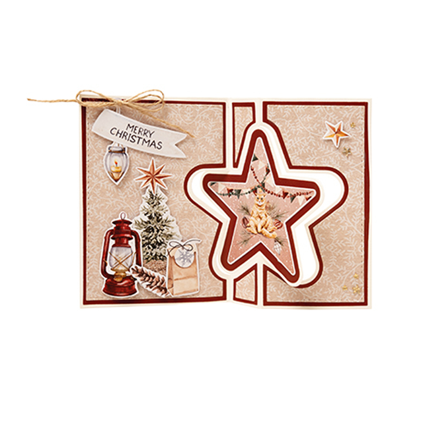 CD839 Star folding card