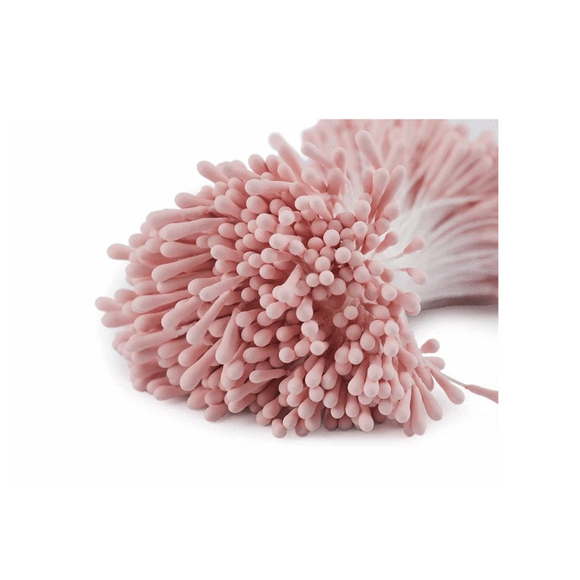 Scrap and me, meeldraden roze, jej hobby 