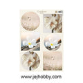 VK9624, Condoleance Orchid, Marianne design, jej hobby