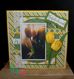 Yellow Tulips in Spring