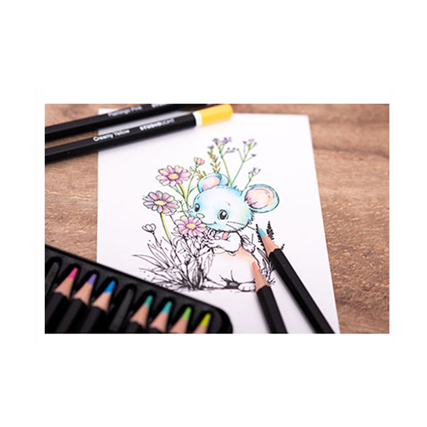 Voorbeeld met de SL-CO-PENC01 pastel pencils van studio light voor kleuren en mixed media