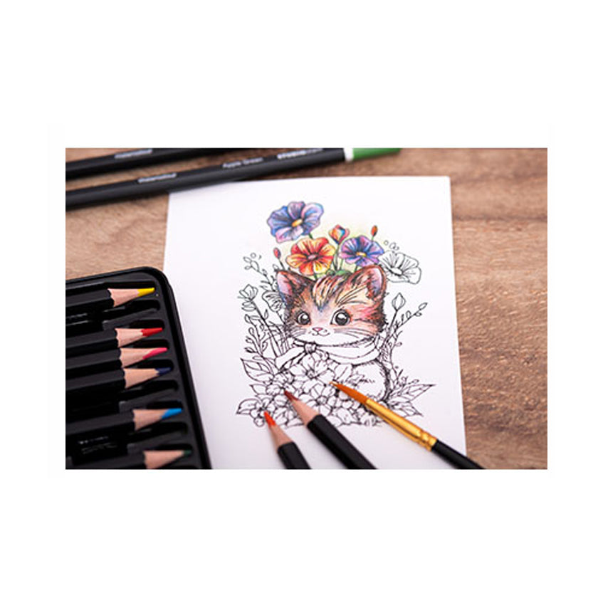 Voorbeeld met de SL-CO-PENC03 Watercolor pencils van studio light voor kleuren, aquarel en mixed media
